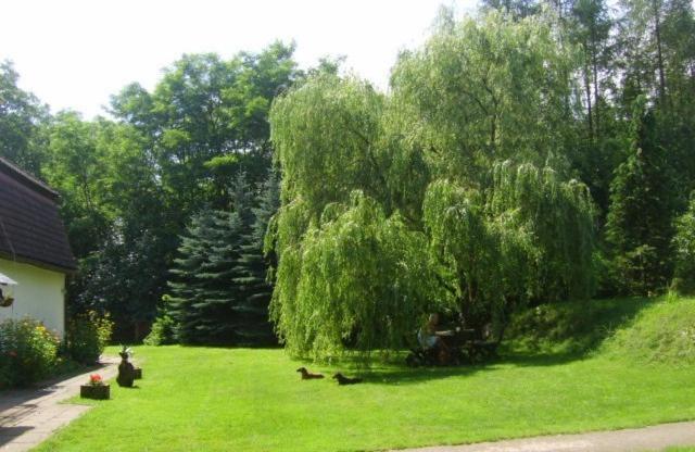 Gospodarstwo Agroturystyczne Leśniczówka Lubin  Exterior foto